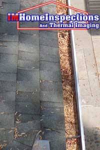 Gutter Inspection 