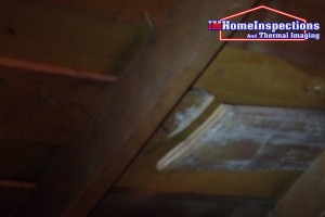 Attic Inspection 