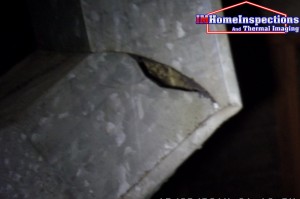 Attic Inspection 