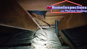 Attic inspection