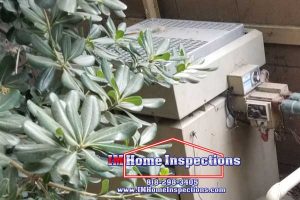 Tree to close to heater 