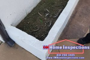 Planer boxes often lead to moisture under the home