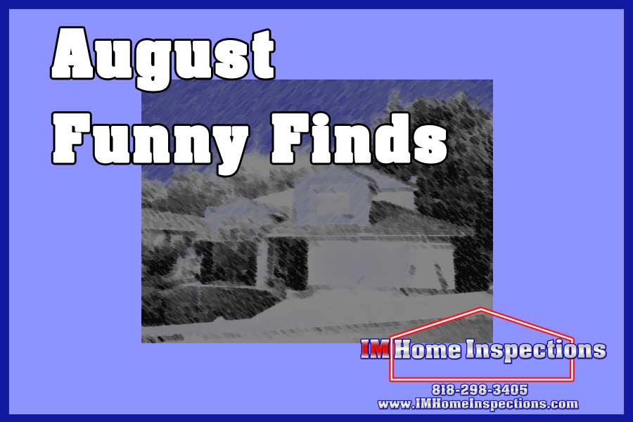August Funny Finds