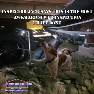 Sewer inspection 
